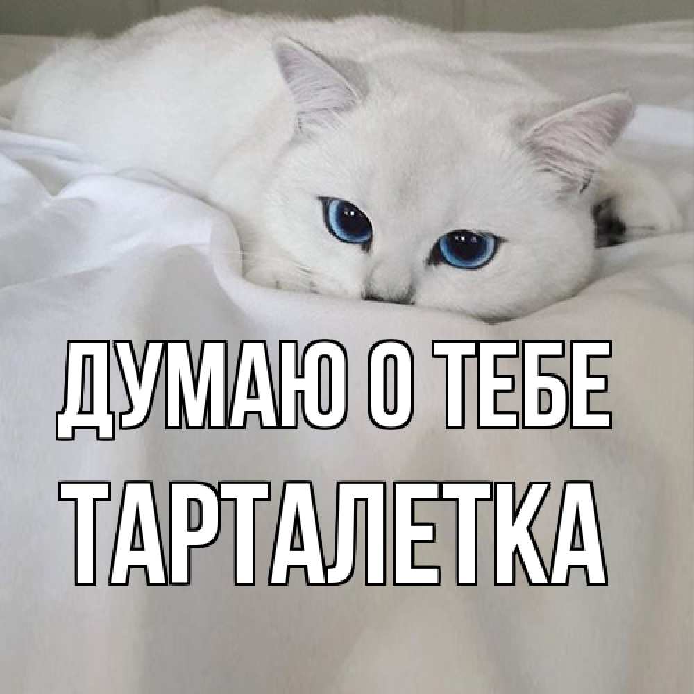 Открытка на каждый день с именем, Тарталетка Думаю о тебе я очень по тебе скучаю и тоскую Прикольная открытка с пожеланием онлайн скачать бесплатно 