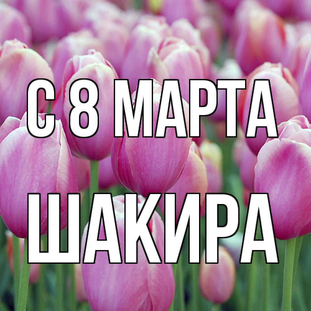 Открытка на каждый день с именем, Шакира C 8 МАРТА на международный женский день 3 Прикольная открытка с пожеланием онлайн скачать бесплатно 