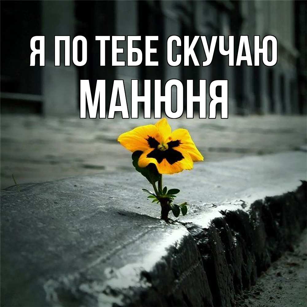Открытка на каждый день с именем, Манюня Я по тебе скучаю надеюсь будет лучше Прикольная открытка с пожеланием онлайн скачать бесплатно 