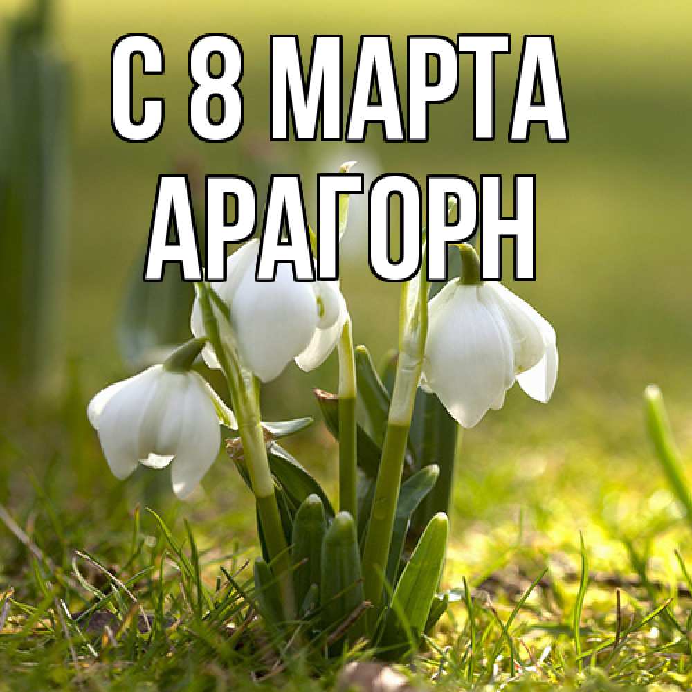 Открытка на каждый день с именем, Арагорн C 8 МАРТА ранние цветы 2 Прикольная открытка с пожеланием онлайн скачать бесплатно 