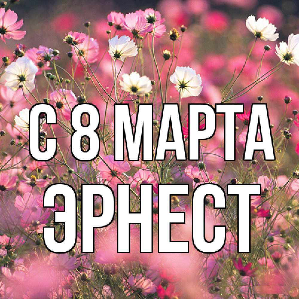 Открытка на каждый день с именем, Эрнест C 8 МАРТА красиво 1 Прикольная открытка с пожеланием онлайн скачать бесплатно 