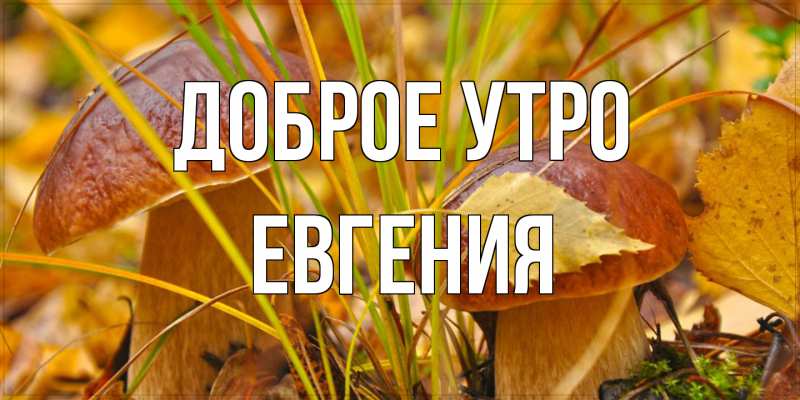 Картинка Доброе утро, Евгения