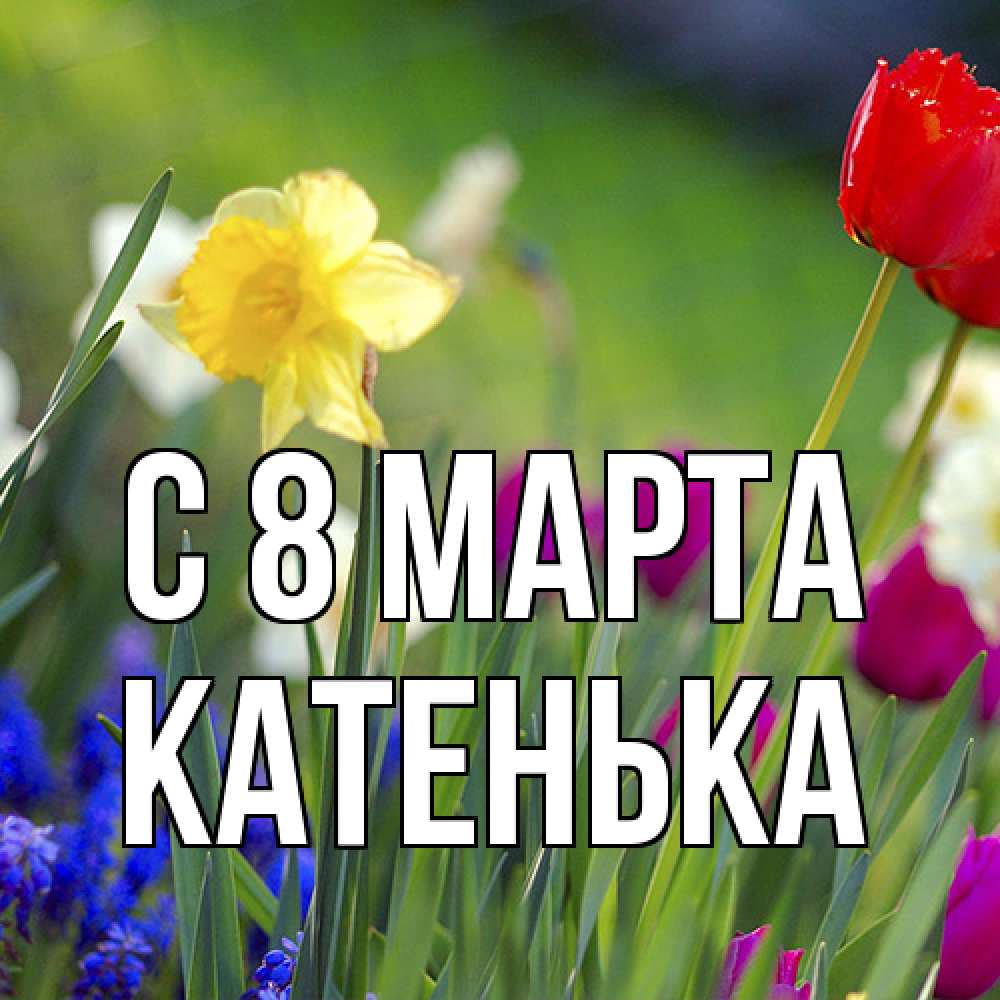 Открытка на каждый день с именем, Катенька C 8 МАРТА международный женский день 3 Прикольная открытка с пожеланием онлайн скачать бесплатно 