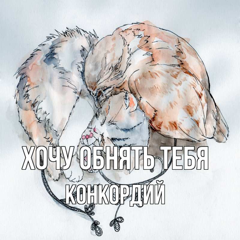 Картинка Хочу обнять тебя, Конкордий