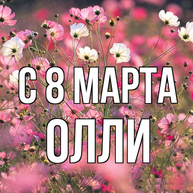 Картинка C 8 МАРТА, Олли