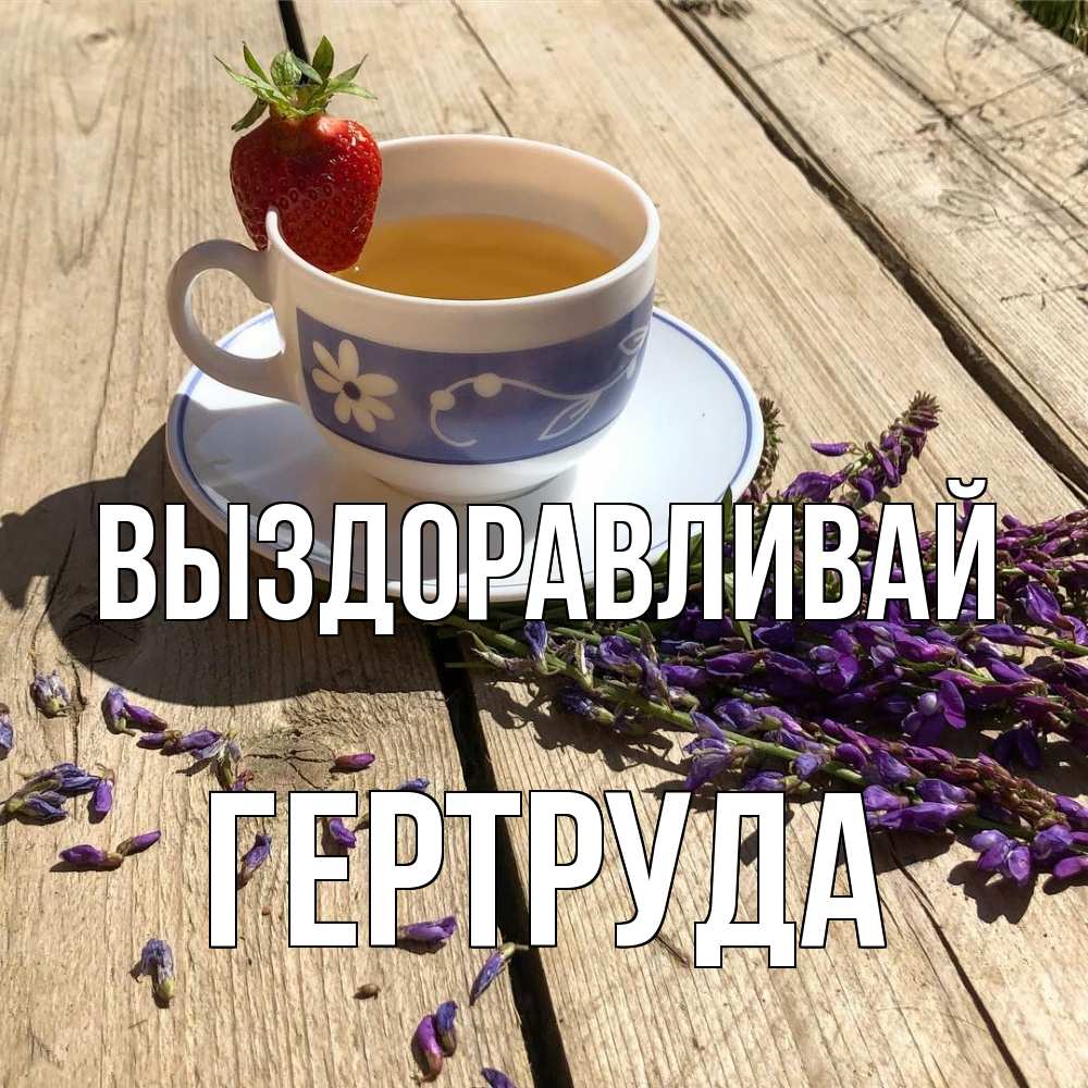 Открытка на каждый день с именем, Гертруда Выздоравливай чай Прикольная открытка с пожеланием онлайн скачать бесплатно 