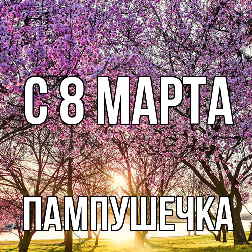 Открытка на каждый день с именем, пампушечка C 8 МАРТА международный женский день Прикольная открытка с пожеланием онлайн скачать бесплатно 