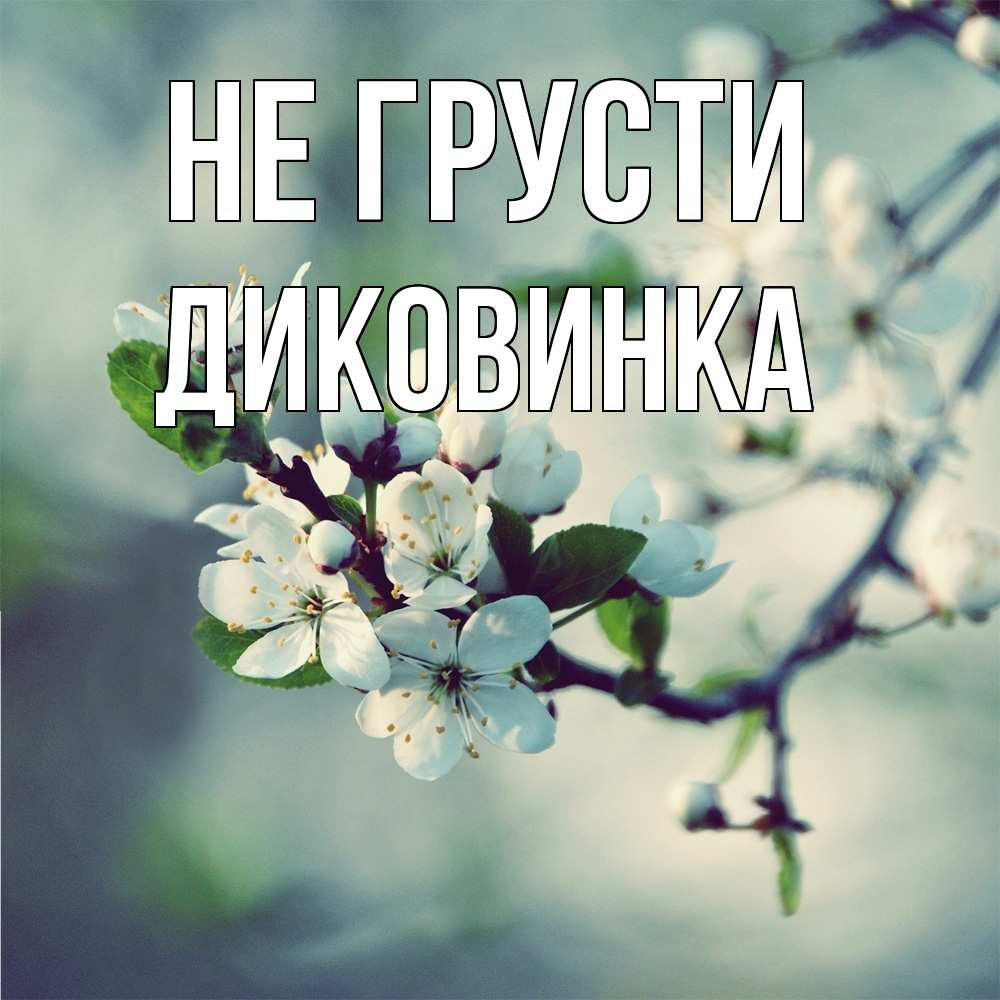 Открытка на каждый день с именем, Диковинка Не грусти яблоня в цвету 1 Прикольная открытка с пожеланием онлайн скачать бесплатно 