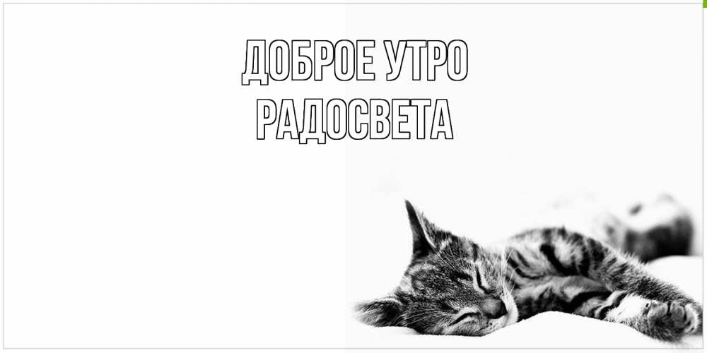 Открытка на каждый день с именем, Радосвета Доброе утро котуся Прикольная открытка с пожеланием онлайн скачать бесплатно 
