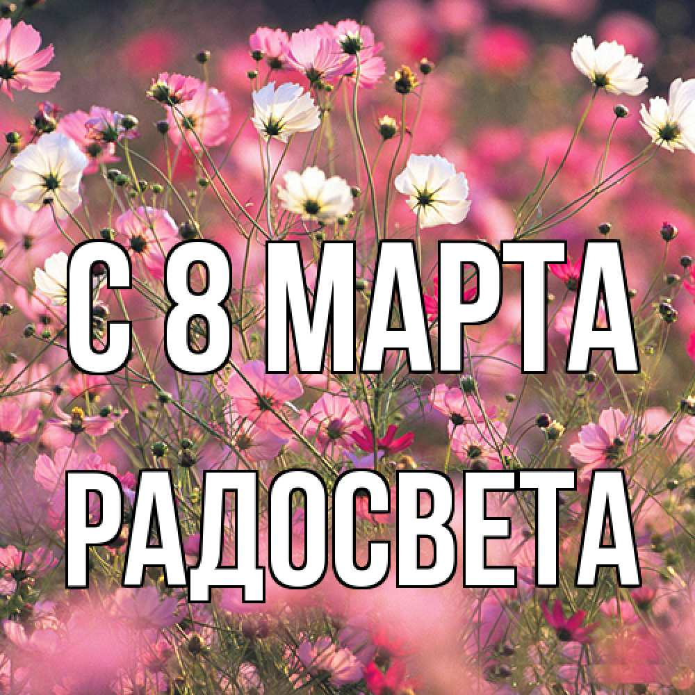 Открытка на каждый день с именем, Радосвета C 8 МАРТА красиво 1 Прикольная открытка с пожеланием онлайн скачать бесплатно 
