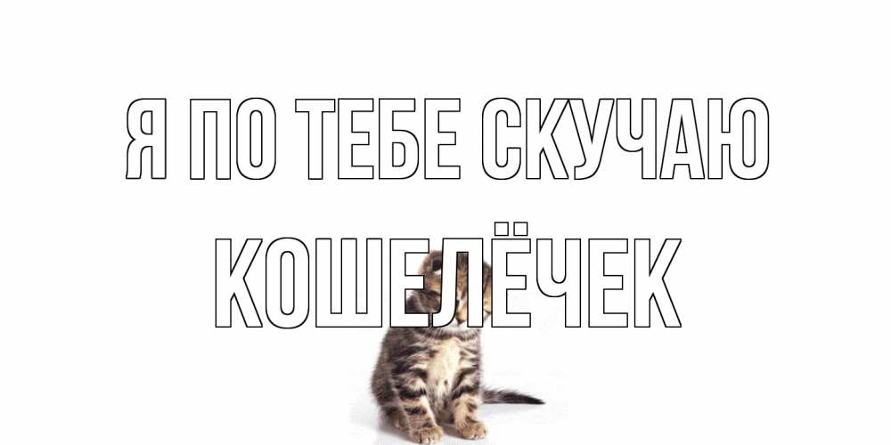 Открытка на каждый день с именем, кошелёчек Я по тебе скучаю кот Прикольная открытка с пожеланием онлайн скачать бесплатно 