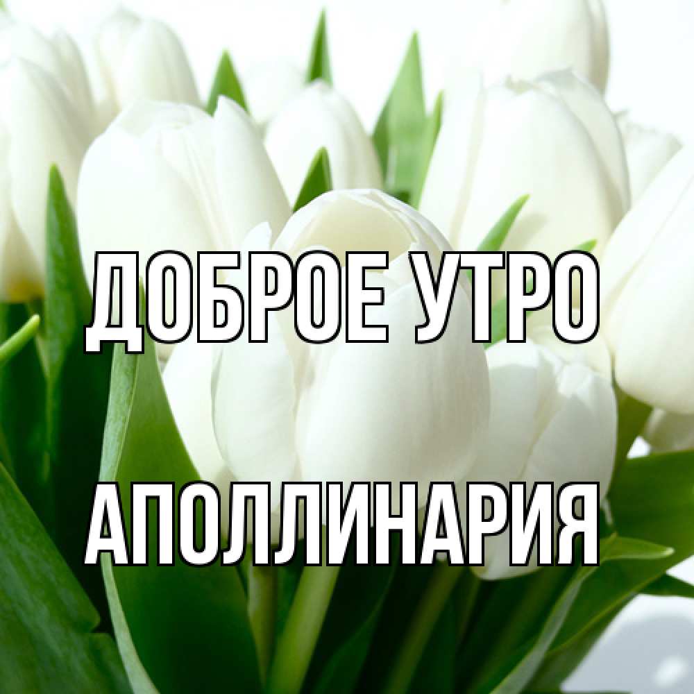 Открытка на каждый день с именем, Аполлинария Доброе утро открытки на каждый день по именам Прикольная открытка с пожеланием онлайн скачать бесплатно 