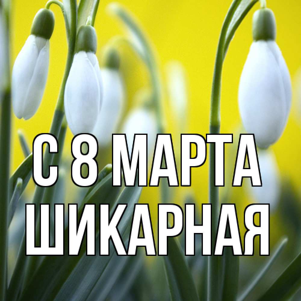 Открытка на каждый день с именем, шикарная C 8 МАРТА весенние цветы Прикольная открытка с пожеланием онлайн скачать бесплатно 