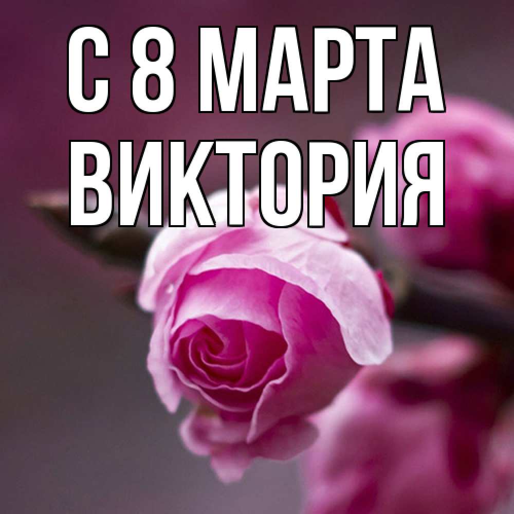 Открытка на каждый день с именем, Виктория C 8 МАРТА весна Прикольная открытка с пожеланием онлайн скачать бесплатно 
