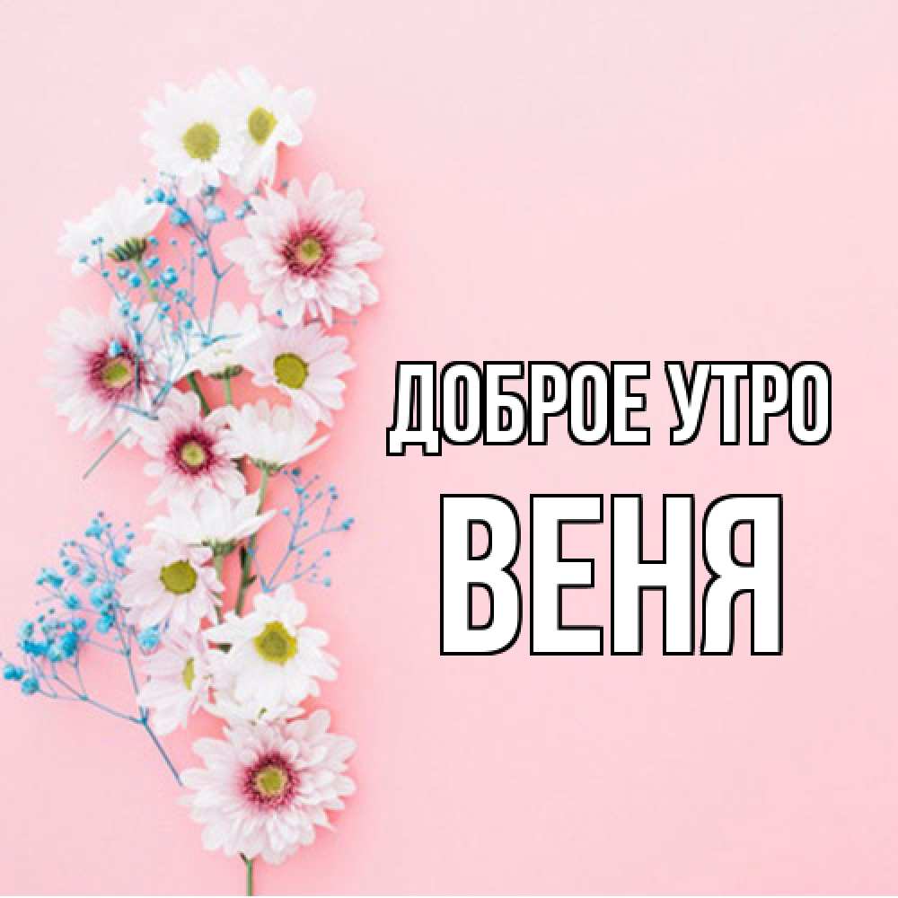 Открытка на каждый день с именем, Веня Доброе утро цветы с подписью Прикольная открытка с пожеланием онлайн скачать бесплатно 