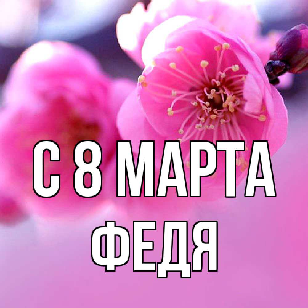 Открытка на каждый день с именем, Федя C 8 МАРТА международный женский день Прикольная открытка с пожеланием онлайн скачать бесплатно 