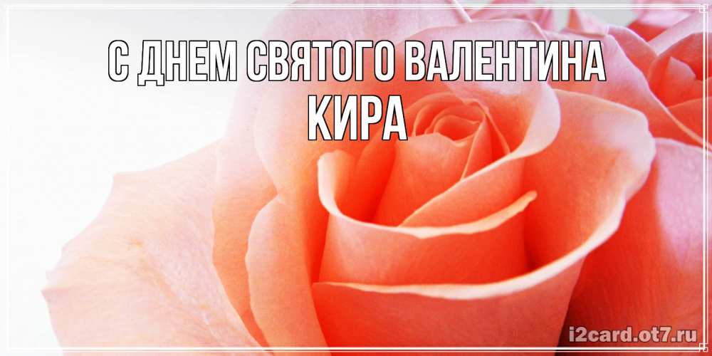 Открытка на каждый день с именем, Кира С днем Святого Валентина открытка на день Святого Валентина с розовой розой Прикольная открытка с пожеланием онлайн скачать бесплатно 