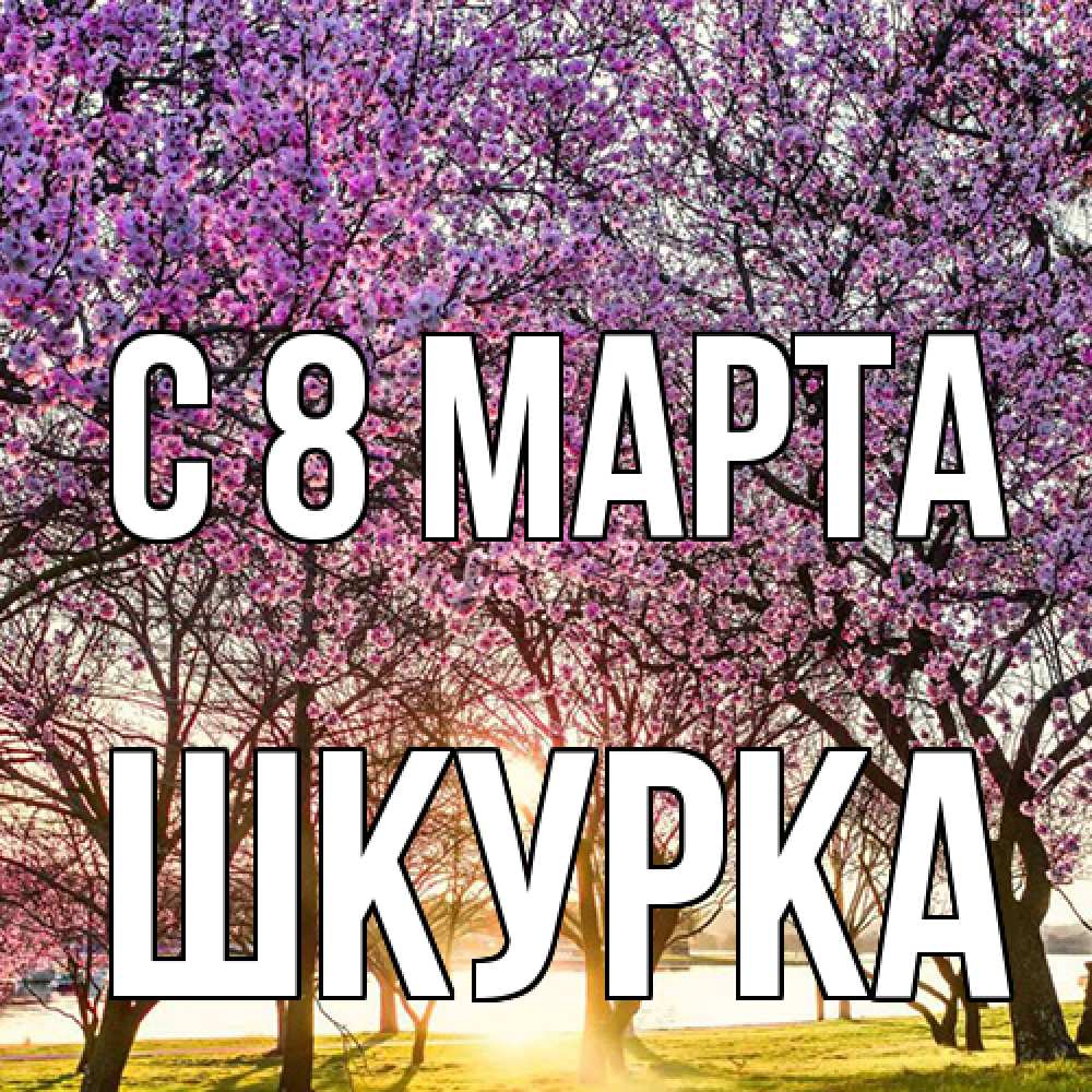 Открытка на каждый день с именем, Шкурка C 8 МАРТА международный женский день Прикольная открытка с пожеланием онлайн скачать бесплатно 