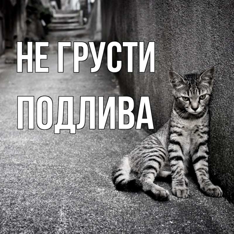 Картинка Не грусти, Подлива