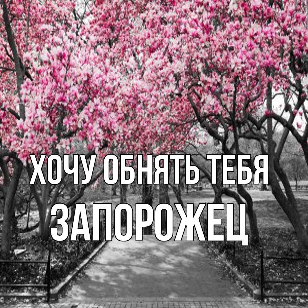 Открытка на каждый день с именем, Запорожец Хочу обнять тебя обработанное фото Прикольная открытка с пожеланием онлайн скачать бесплатно 