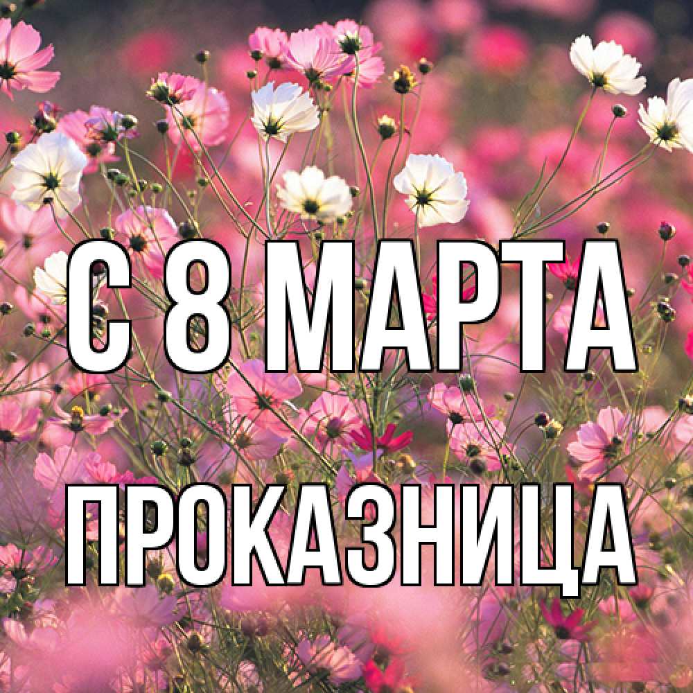 Открытка на каждый день с именем, Проказница C 8 МАРТА красиво 1 Прикольная открытка с пожеланием онлайн скачать бесплатно 