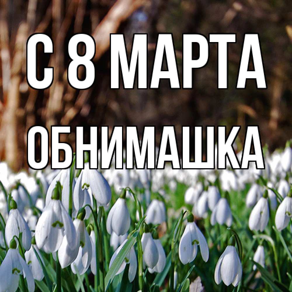 Открытка на каждый день с именем, обнимашка C 8 МАРТА с подснежниками 1 Прикольная открытка с пожеланием онлайн скачать бесплатно 