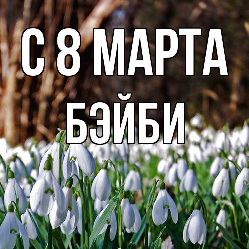 Открытка на каждый день с именем, бэйби C 8 МАРТА с подснежниками 1 Прикольная открытка с пожеланием онлайн скачать бесплатно 