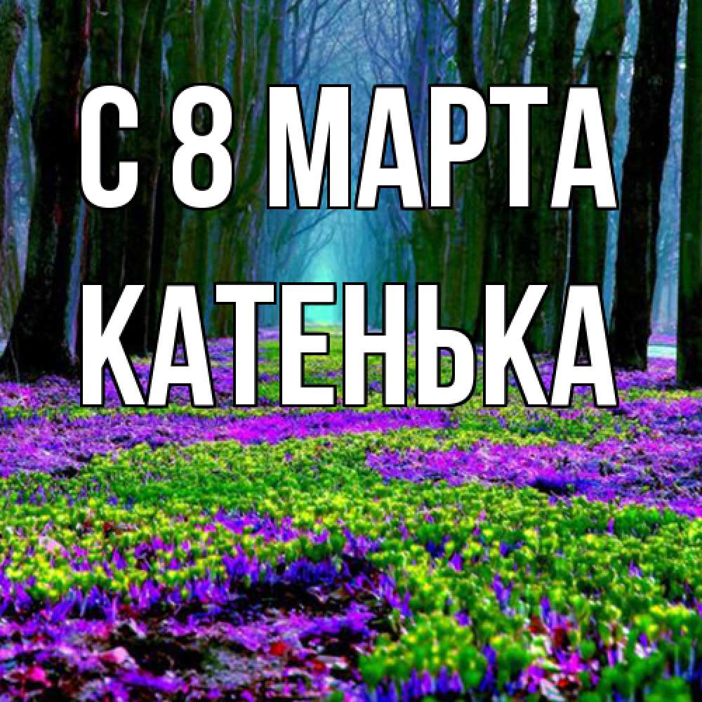 Открытка на каждый день с именем, Катенька C 8 МАРТА фиолетовые цветы в лесу 1 Прикольная открытка с пожеланием онлайн скачать бесплатно 