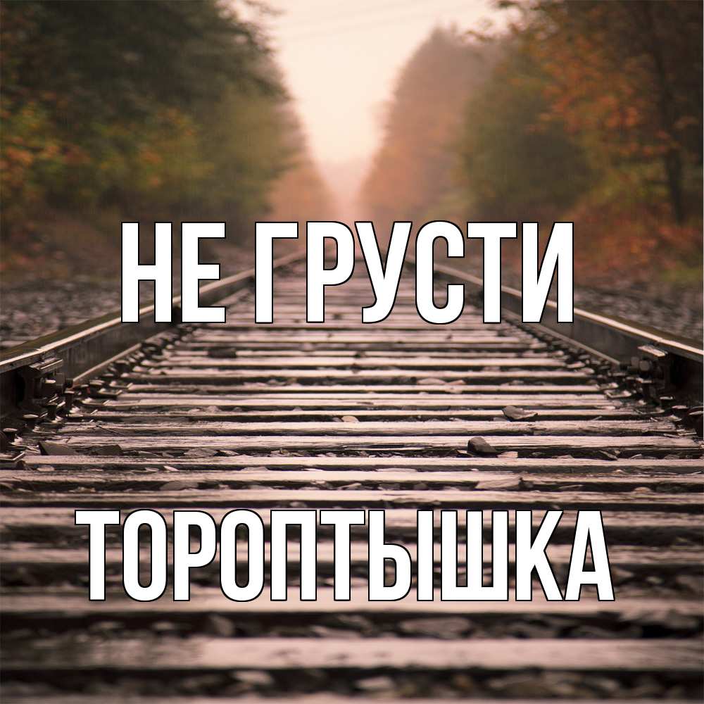 Открытка на каждый день с именем, Тороптышка Не грусти лес и железная дорога Прикольная открытка с пожеланием онлайн скачать бесплатно 