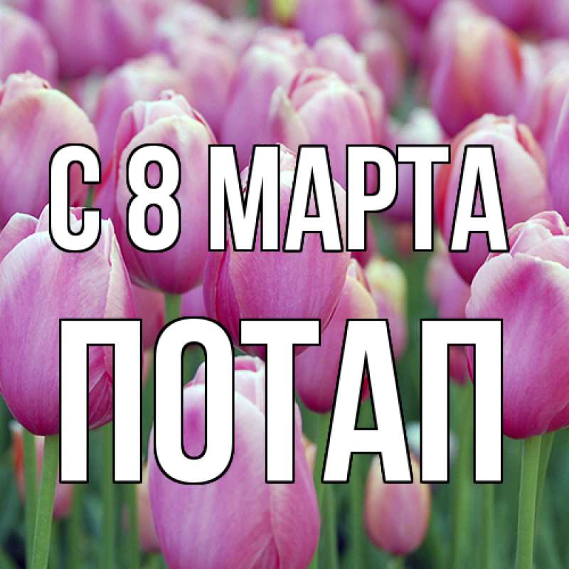 Картинка C 8 МАРТА, Потап