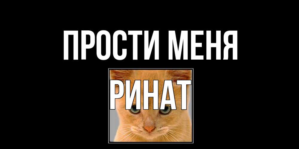 Открытка на каждый день с именем, Ринат Прости меня рыжий грустный кот просит прощения Прикольная открытка с пожеланием онлайн скачать бесплатно 
