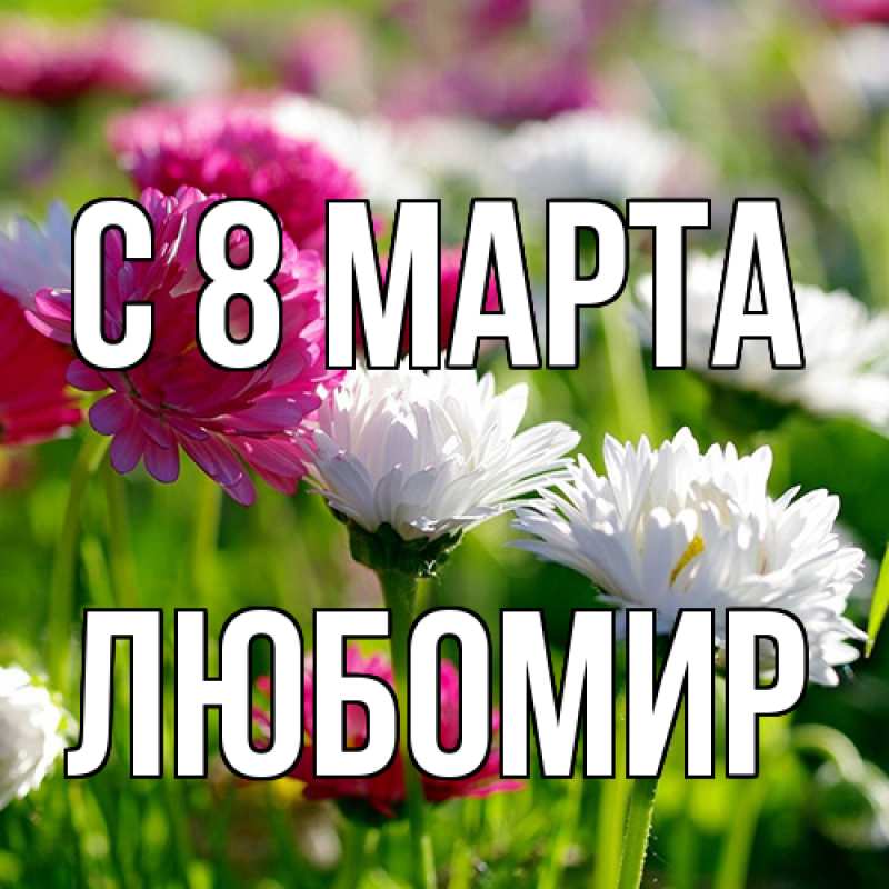 Картинка C 8 МАРТА, Любомир