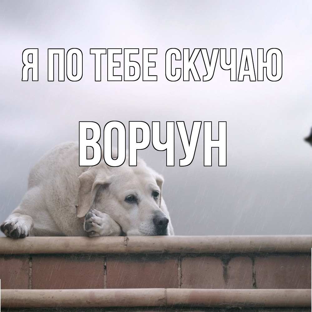 Открытка на каждый день с именем, Ворчун Я по тебе скучаю ждет Прикольная открытка с пожеланием онлайн скачать бесплатно 