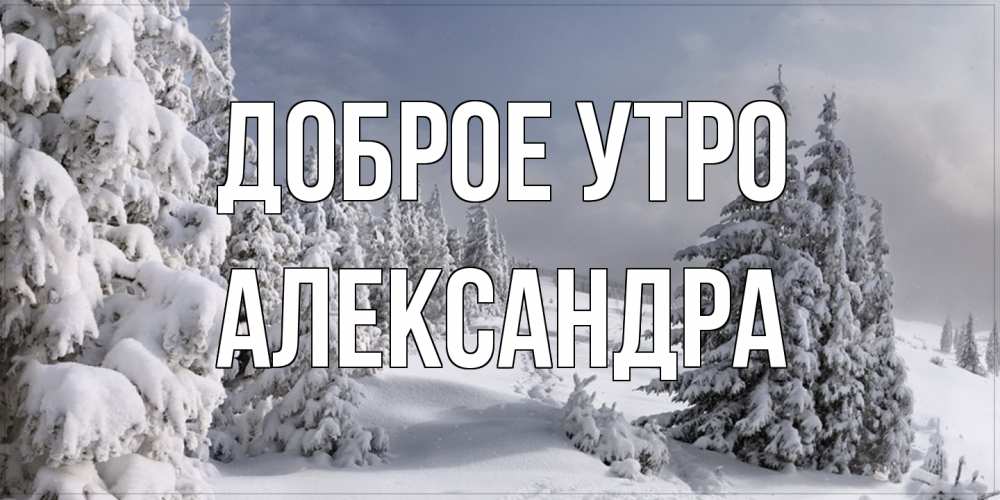 Открытка на каждый день с именем, Александра Доброе утро пасмурное утро Прикольная открытка с пожеланием онлайн скачать бесплатно 