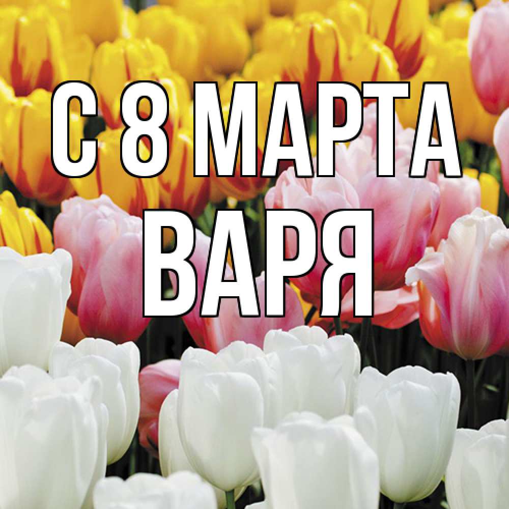 Открытка на каждый день с именем, Варя C 8 МАРТА разноцветные цветы Прикольная открытка с пожеланием онлайн скачать бесплатно 