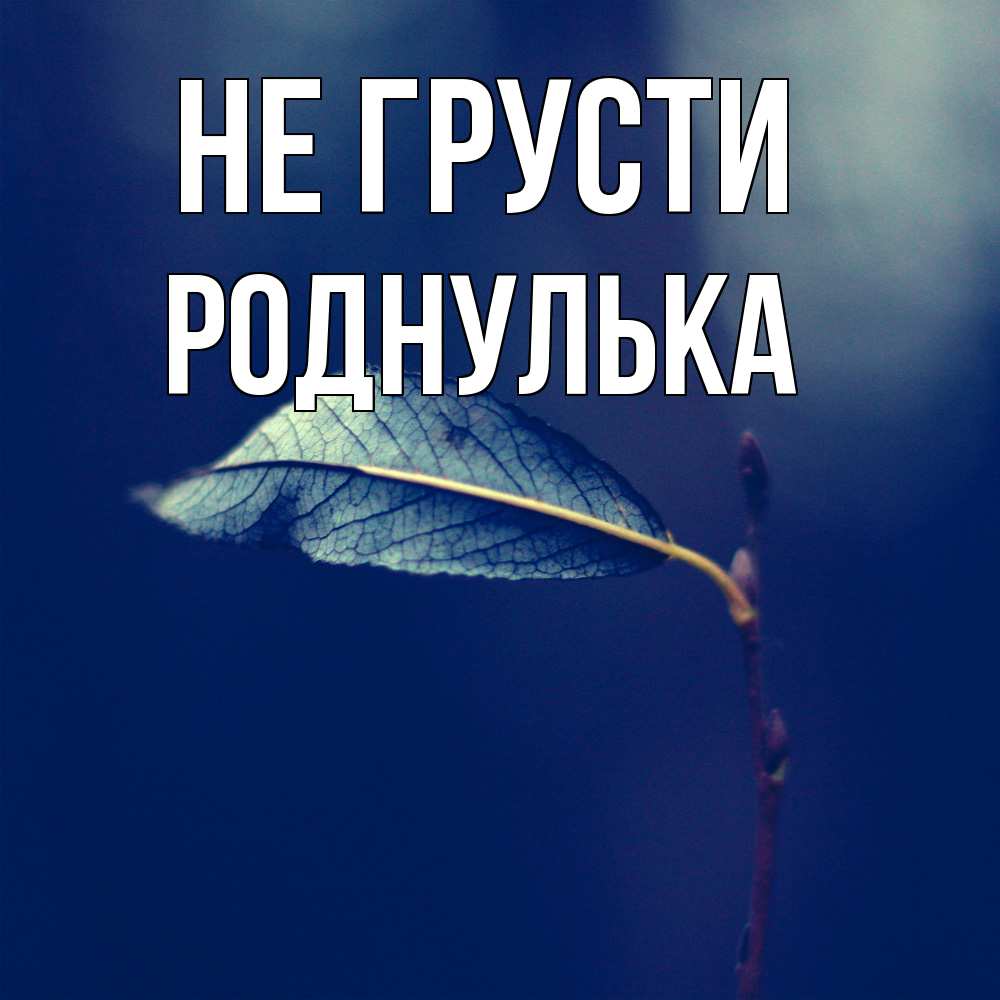 Открытка на каждый день с именем, Роднулька Не грусти растение Прикольная открытка с пожеланием онлайн скачать бесплатно 