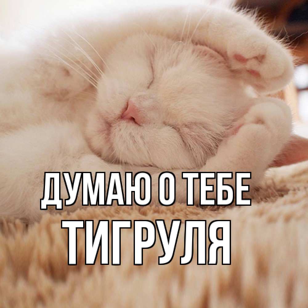 Открытка на каждый день с именем, Тигpуля Думаю о тебе для любимой девушки милота Прикольная открытка с пожеланием онлайн скачать бесплатно 