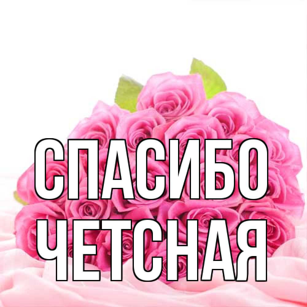 Открытка на каждый день с именем, Четсная Спасибо розовые розы с подписью Прикольная открытка с пожеланием онлайн скачать бесплатно 