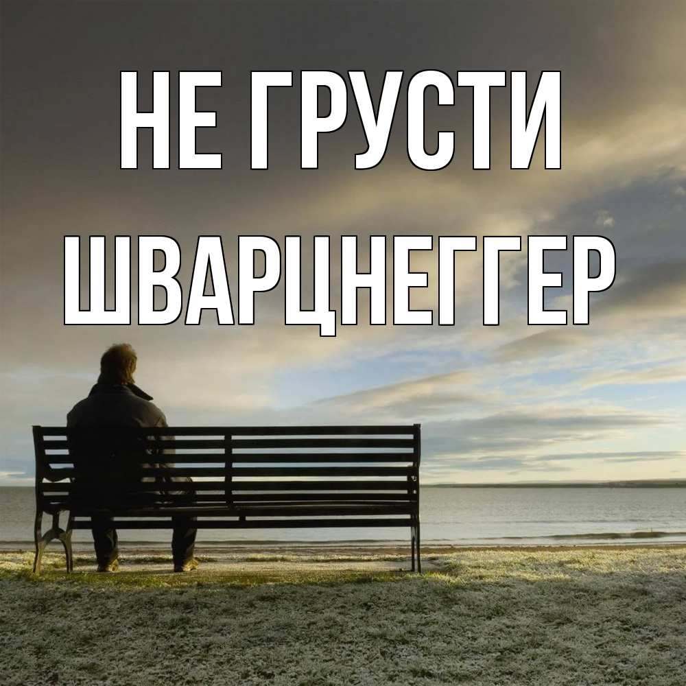 Открытка на каждый день с именем, Шварцнеггер Не грусти озеро Прикольная открытка с пожеланием онлайн скачать бесплатно 