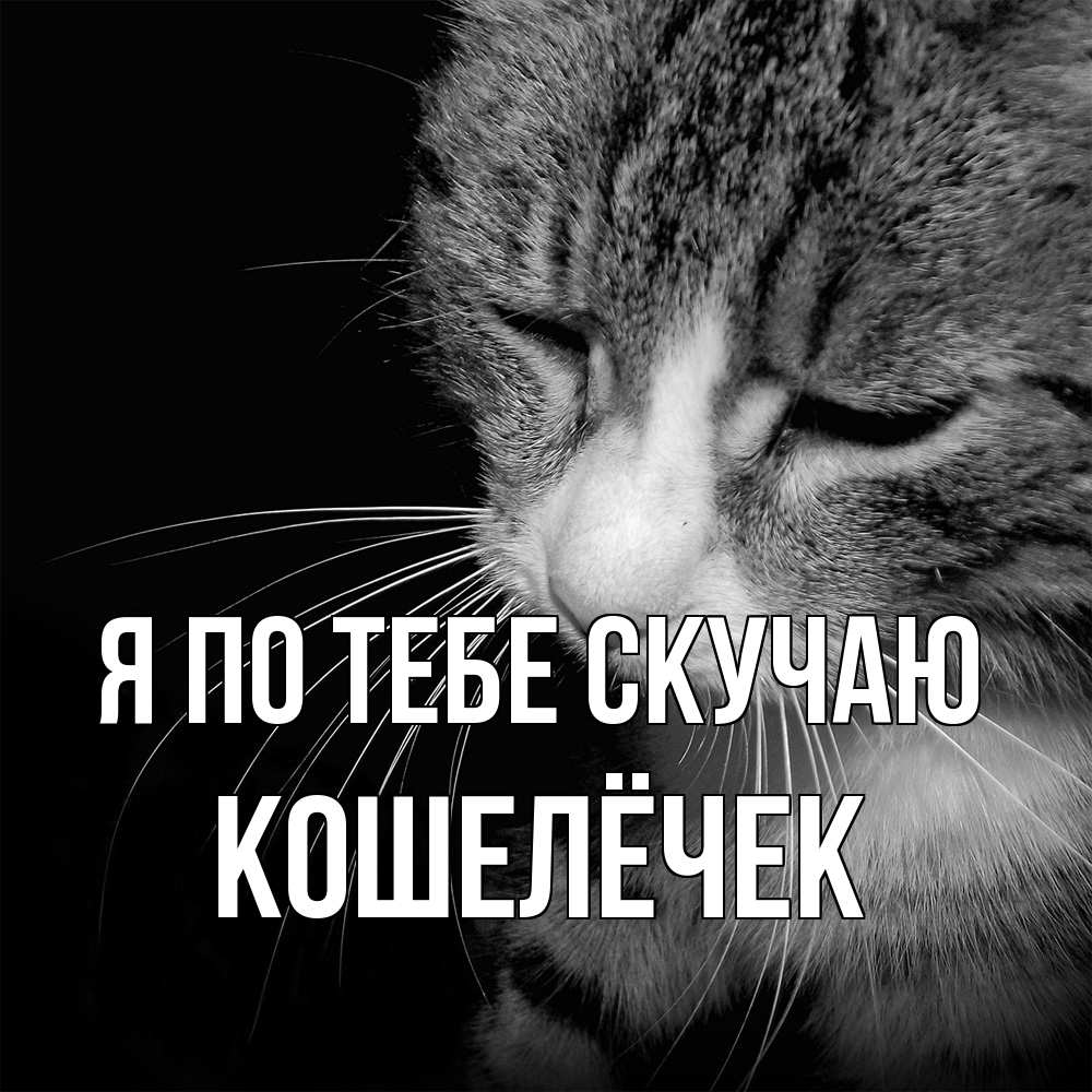 Открытка на каждый день с именем, кошелёчек Я по тебе скучаю мне скучно Прикольная открытка с пожеланием онлайн скачать бесплатно 