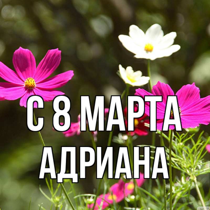Картинка C 8 МАРТА, Адриана