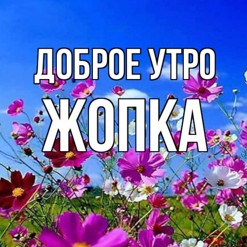 Картинка Доброе утро, Жопка