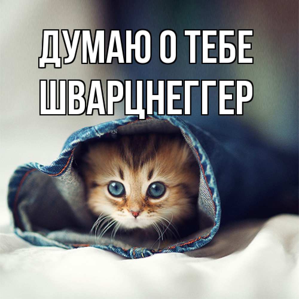 Открытка на каждый день с именем, Шварцнеггер Думаю о тебе мне без тебя плохо Прикольная открытка с пожеланием онлайн скачать бесплатно 