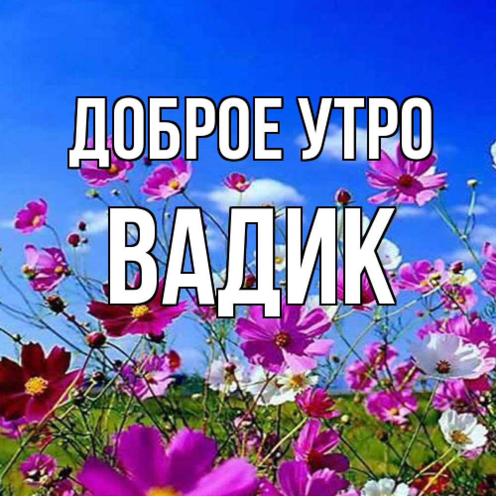 Открытка на каждый день с именем, Вадик Доброе утро сиреневые цветы Прикольная открытка с пожеланием онлайн скачать бесплатно 