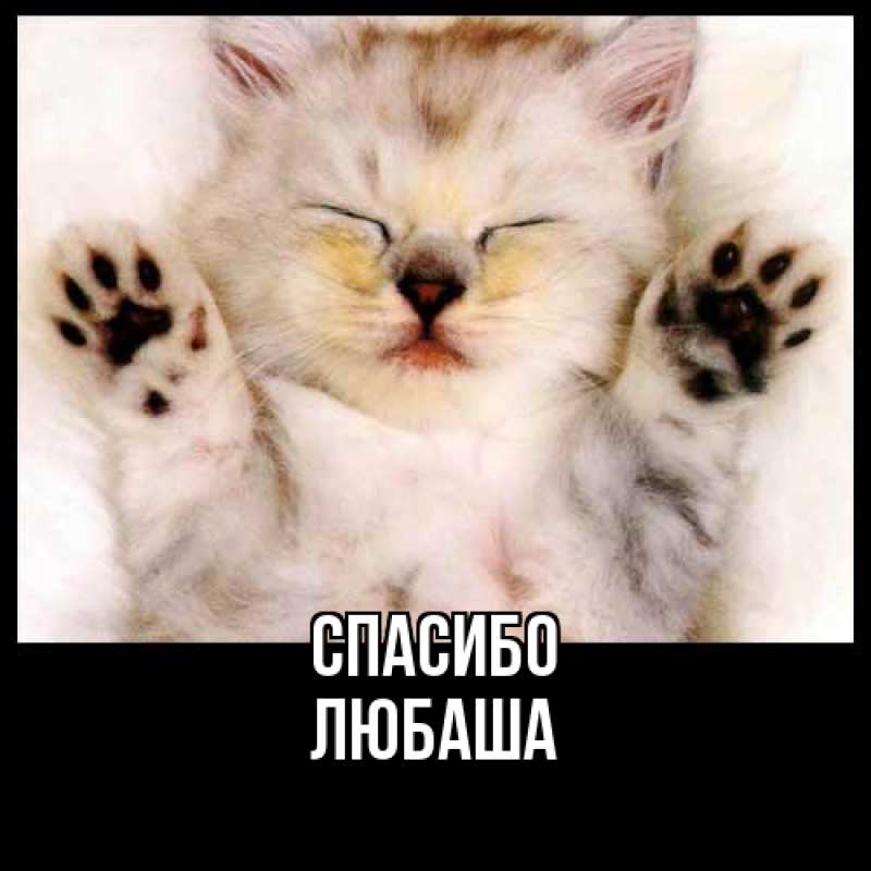 Картинка Спасибо, Любаша