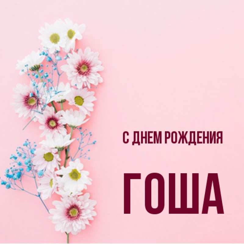 Картинка С днем рождения, Гоша