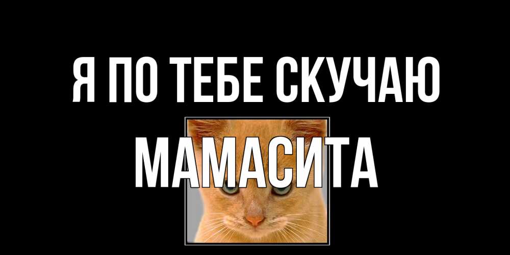 Открытка на каждый день с именем, Мамасита Я по тебе скучаю открытки рыжий котенок скучает по тебе Прикольная открытка с пожеланием онлайн скачать бесплатно 