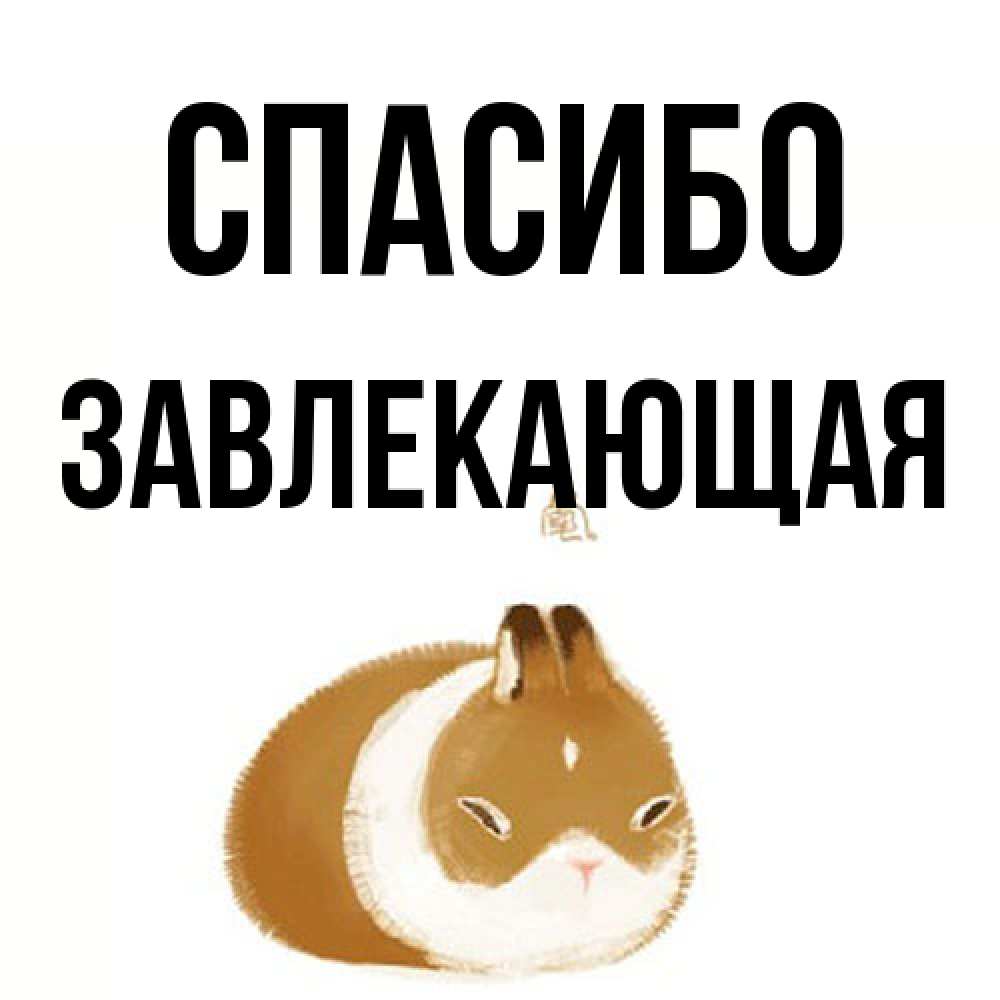 Открытка на каждый день с именем, завлекающая Спасибо коричнево белый домашний питомец Прикольная открытка с пожеланием онлайн скачать бесплатно 