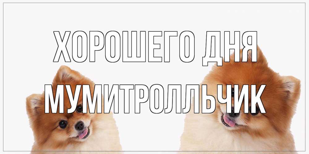 Открытка на каждый день с именем, мумитролльчик Хорошего дня собачки желают прекрасного дня Прикольная открытка с пожеланием онлайн скачать бесплатно 