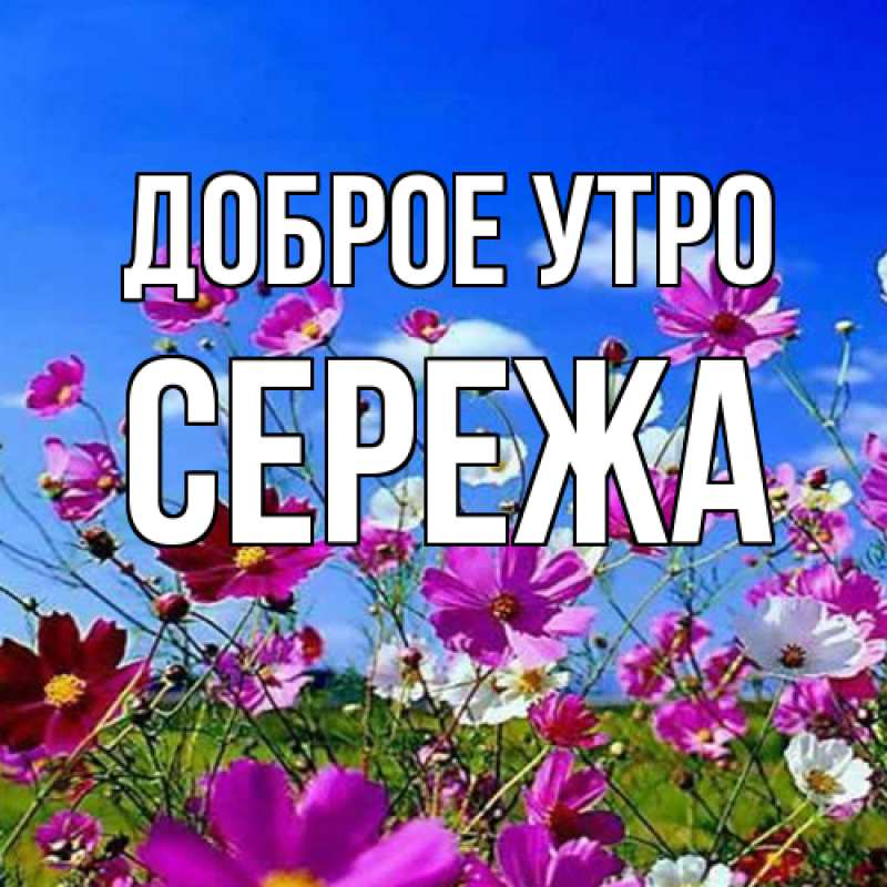 Картинка Доброе утро, Сережа
